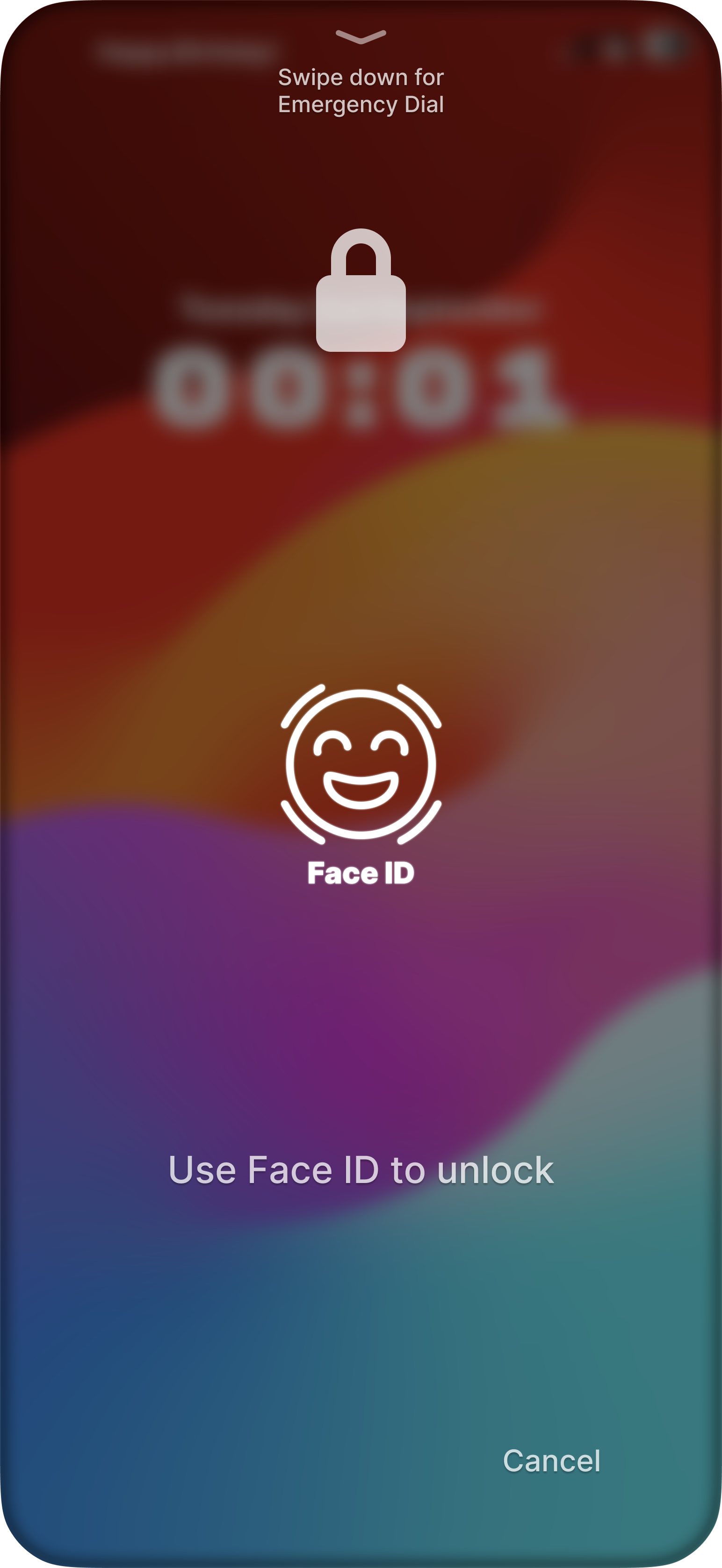 Face ID (On Screen)